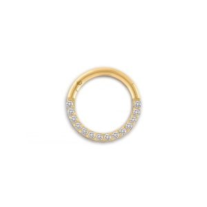 Front Pave Seamless Hoop